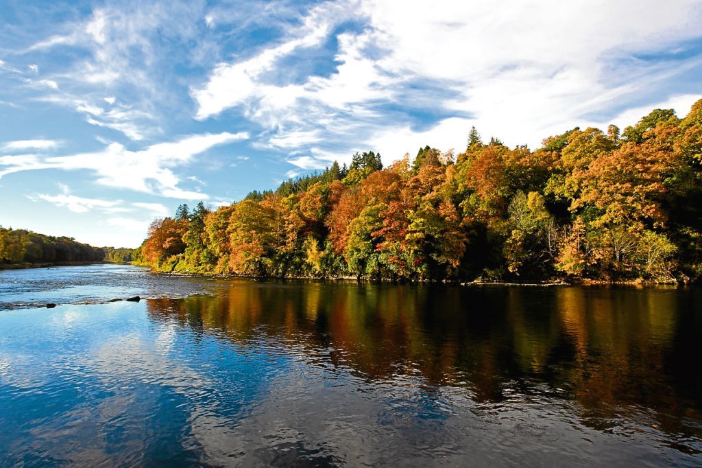 River Tay, near Scone (Andrew Cawley / DC Thomson)