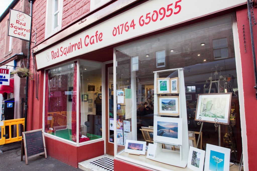 Scone Spy Crieff’s Red Squirrel café is a hive of