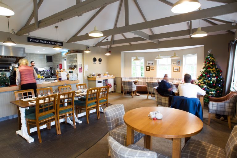 Scone Spy falls in love with the Old Toll Bar Cafe in