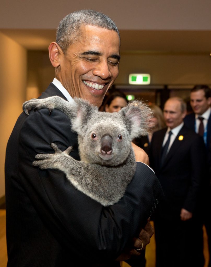 Nov. 15, 2014 "The President holds a koala backstage prior to the G20 Welcome to Country Ceremony at the Brisbane Convention and Exhibition Center in Brisbane, Australia." (Official White House Photo by Pete Souza)