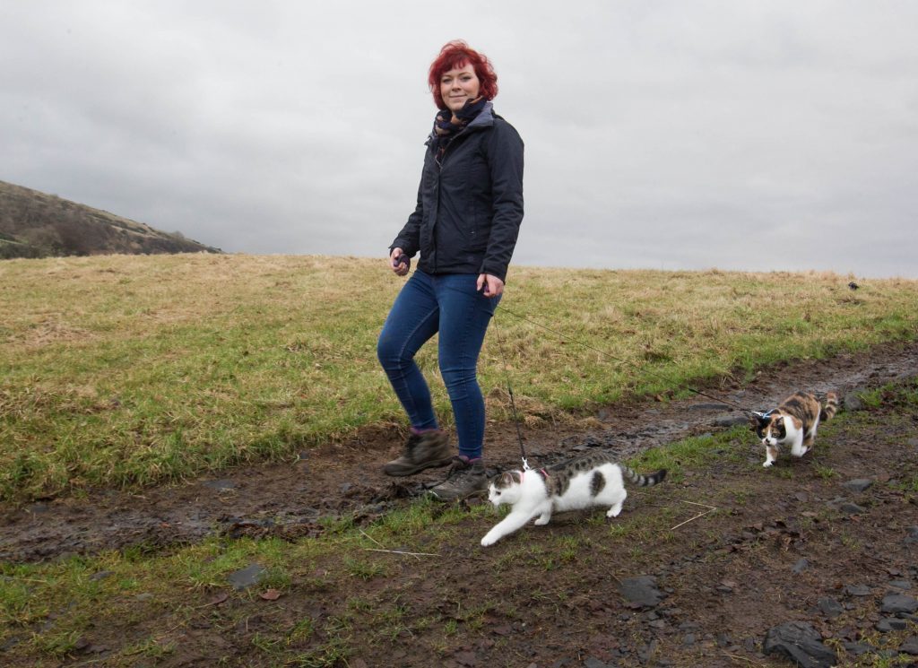Vet Ruby Shorrocks takes her cats a walk up into the hills (Chris Austin/ DC Thomson)