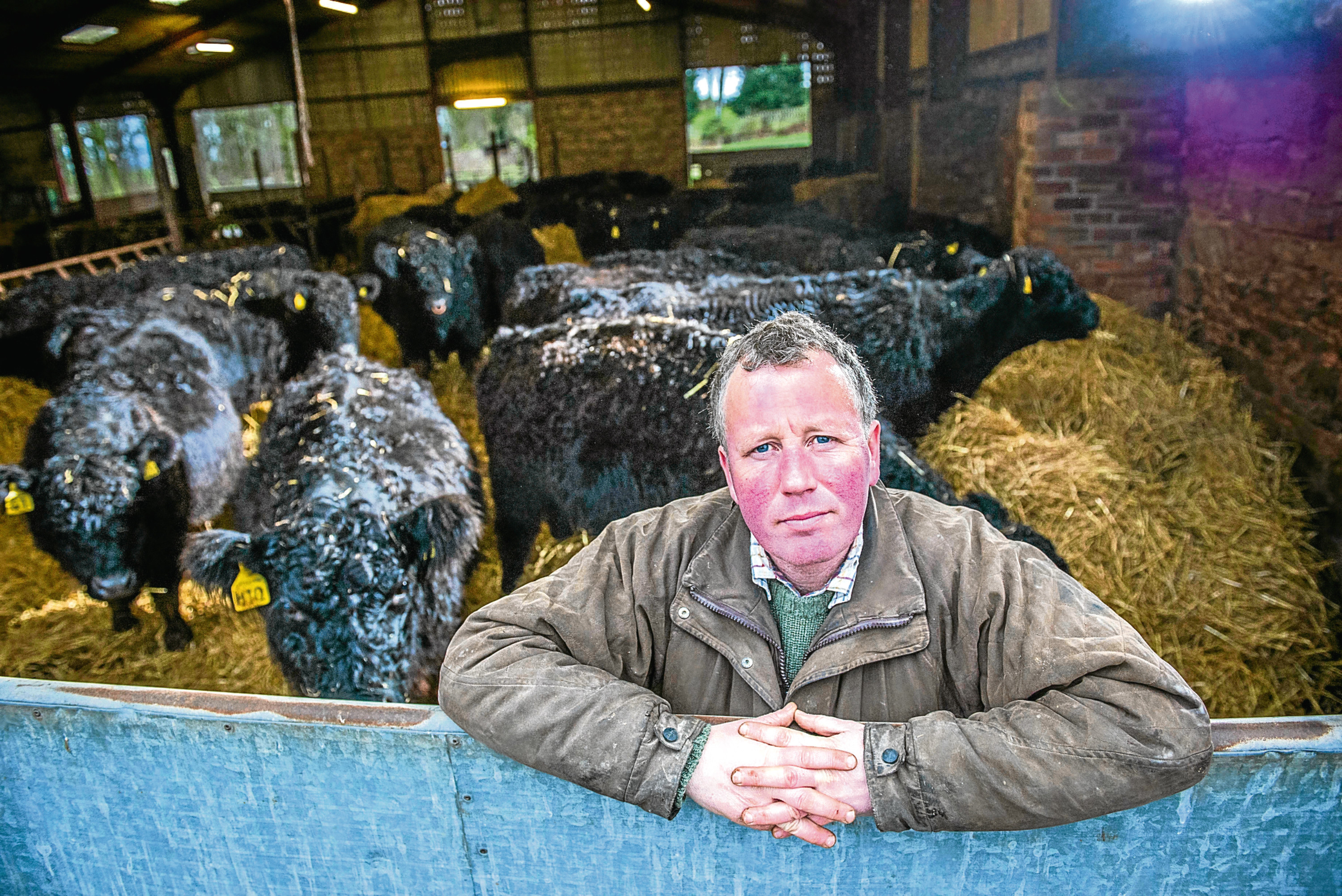 Kelso farmer Alistair Busby (Chris Watt)