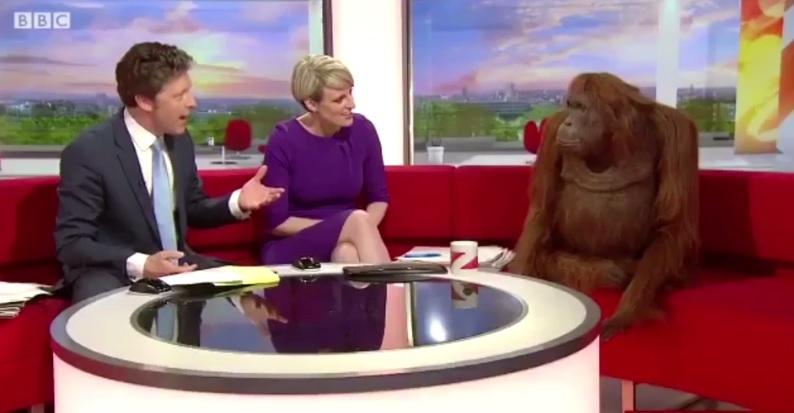 Beluti stars on this morning's BBC Breakfast