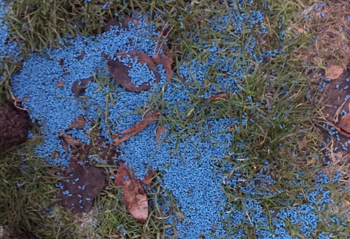 A large amount of poison - thought to be slug pellets or rodenticide - discovered near the entrance to Overtoun Park in Rutherglen, South Lanarkshire. (Scottish SPCA/PA Wire)