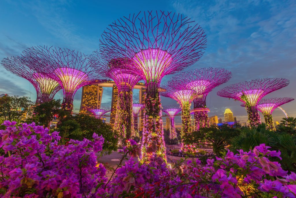 Night view of The Supertree Grove at Gardens by the Bay (iStock)