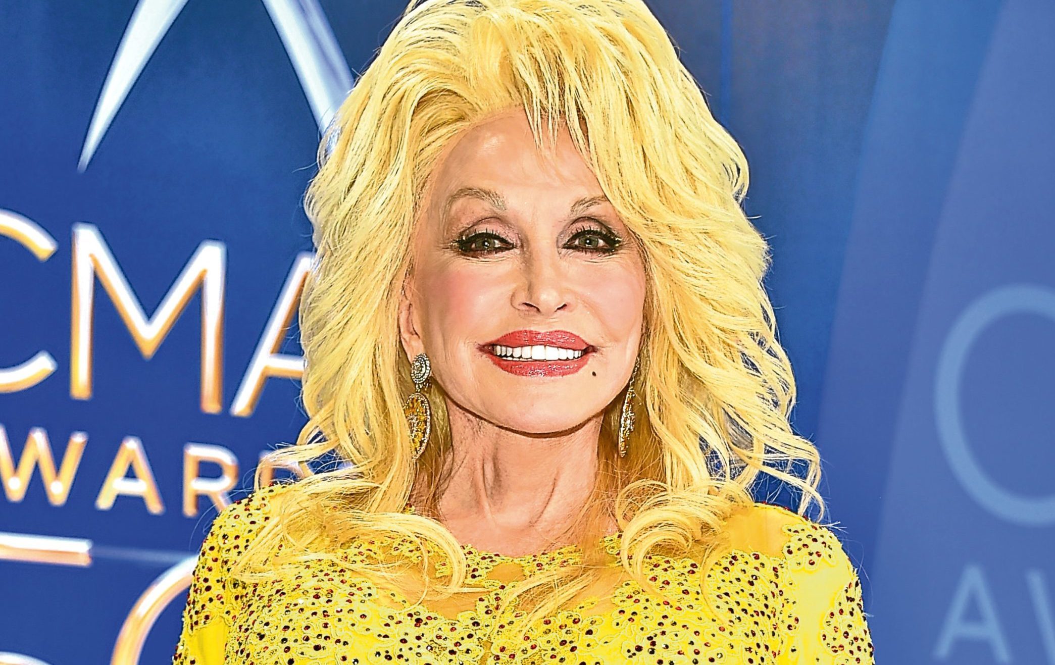 Dolly Parton receives the Willie Nelson Lifetime Achievement Award  (Michael Loccisano/Getty Images)