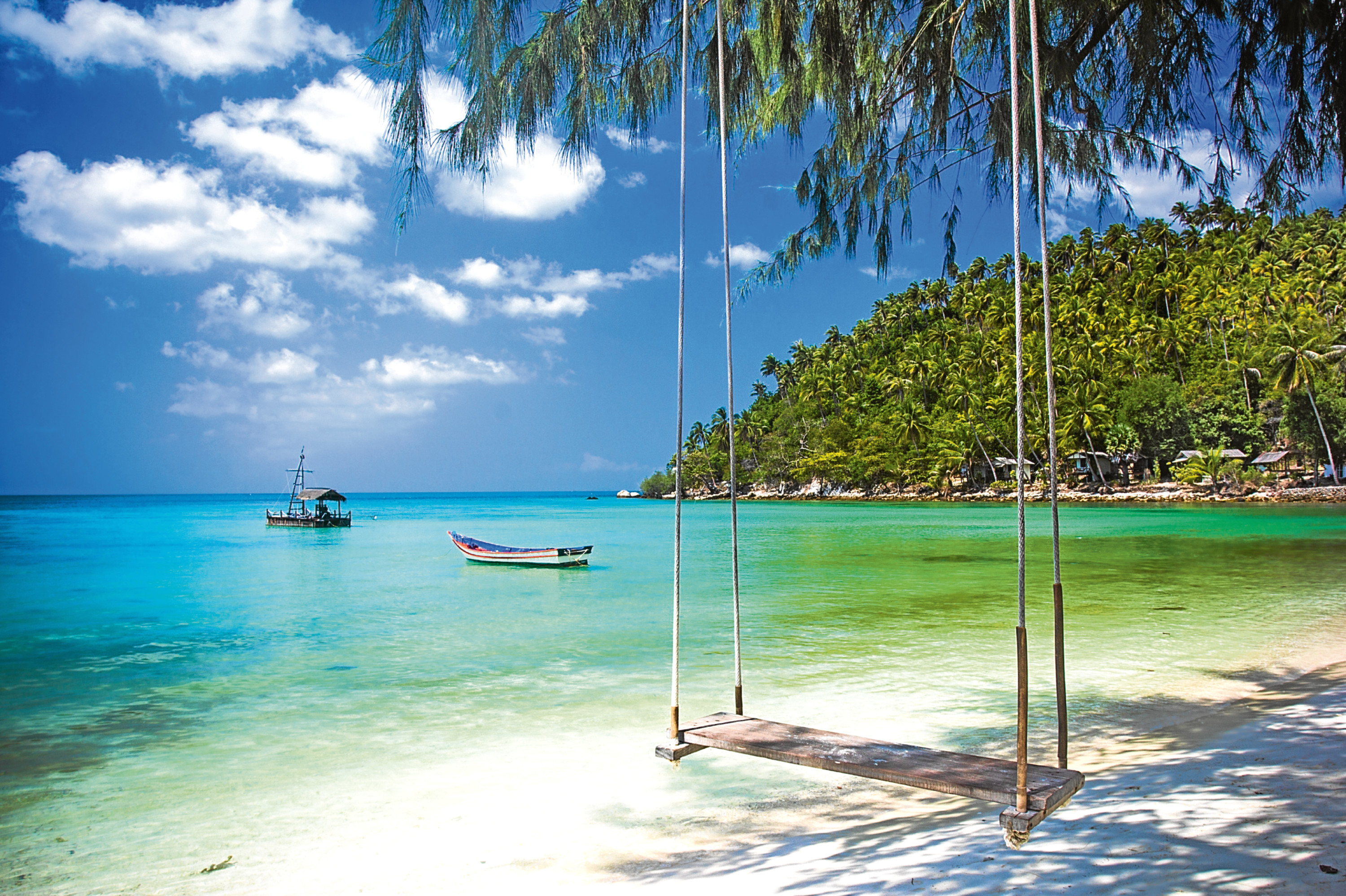 Swing hang from coconut tree over beach, Phangan island