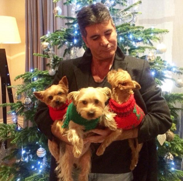 Simon Cowell posted on his instagram page an image of his 3 dogs, Squiddly, Diddly and Freddie wearing Xmas jumpers (Simon Cowell Instagram)