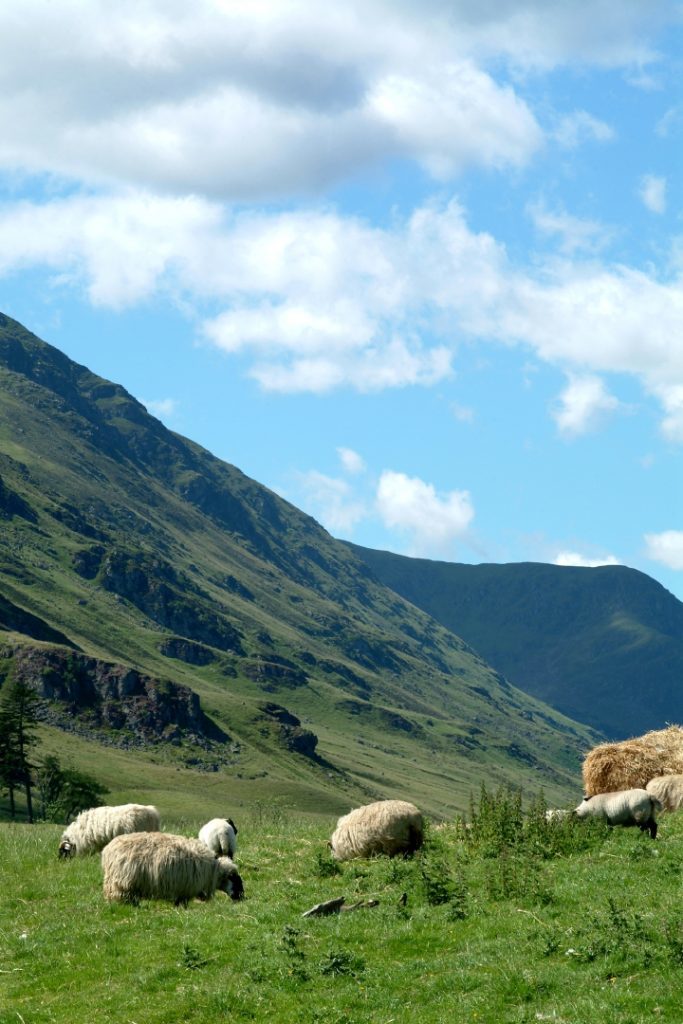 Glen Clova, Scotland