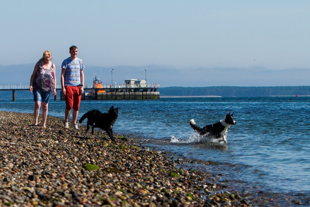 Stony Beach off Douglas Terrace, Broughty Ferry. Pictured, Elizabeth Dunlop and son Stephen Dunlop with dogs Yukee (left, aged 9 months) and Skye (right aged 3 years). (Steve MacDougall, Courier, DC Thomson)