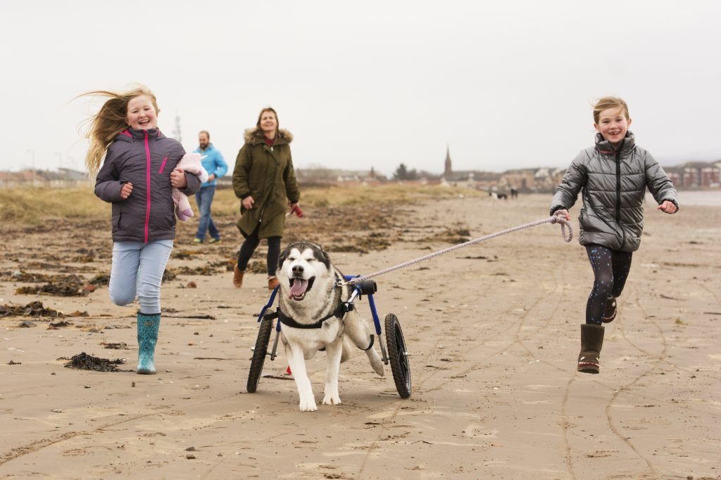 (L-R) Noa, 9, Stephen, Katrina Bear and Oran, 7 (Mark Anderson)