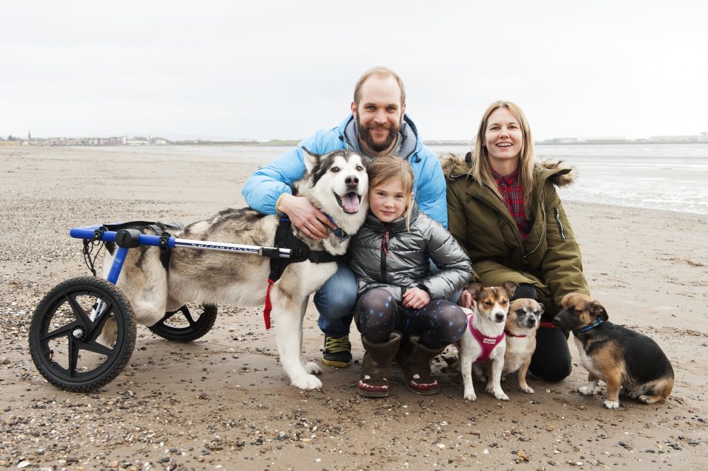 (L-R) Bear, Stephen, Oran, 7, Katrina, Scout, Indy and Buck (Mark Anderson)