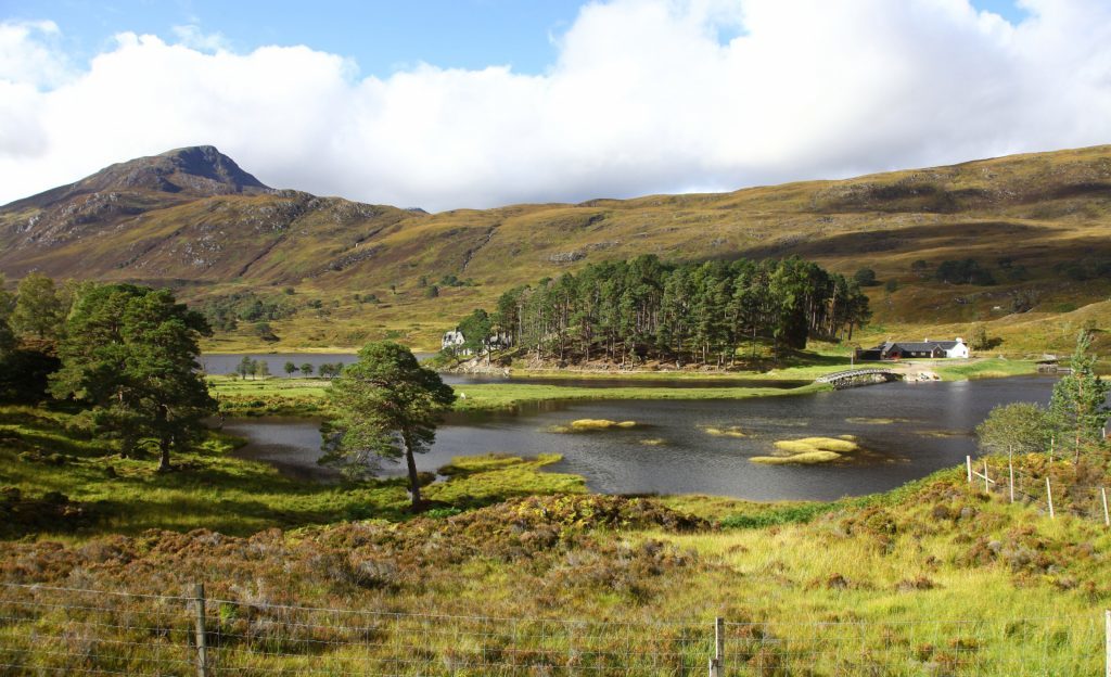 Looking towards Affric Lodge Loch Affric Glen Affric Inverness-shire Scottish Highlands Highland Scotland UK