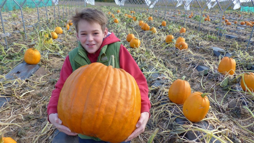 Rowan Laird age 14, at the farm