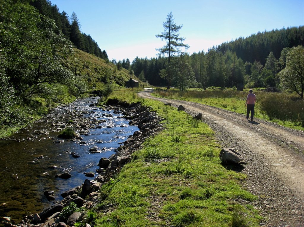 Autumn sunshine in Glenogil, Angus.