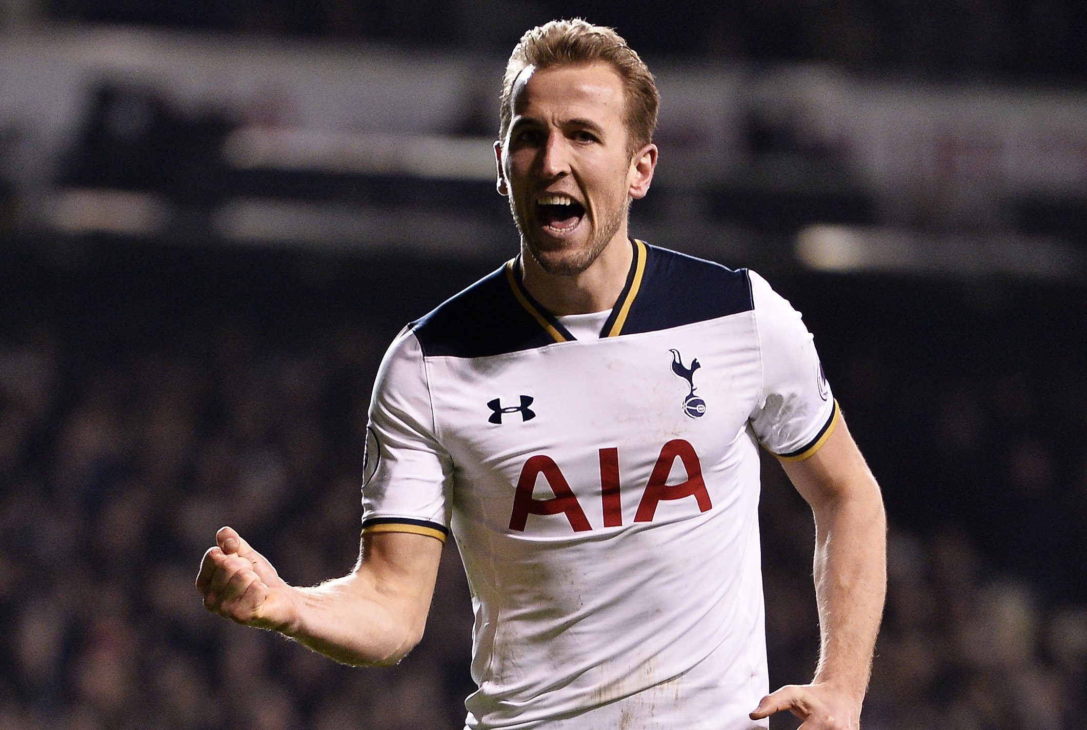 Harry Kane of Tottenham Hotspur (Justin Setterfield/Getty Images)