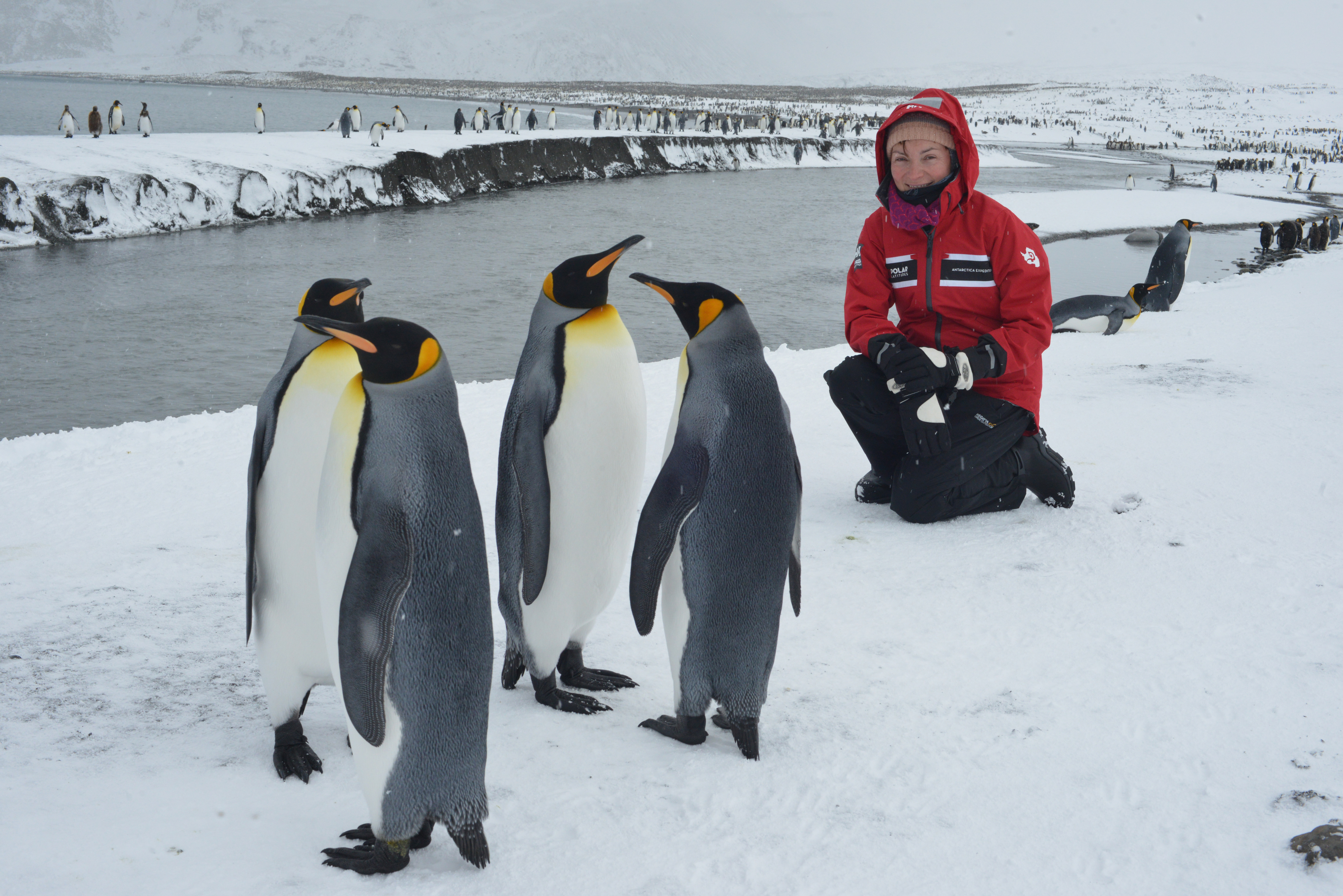 Lorraine Kelly with some penguins. (Steve Smith)