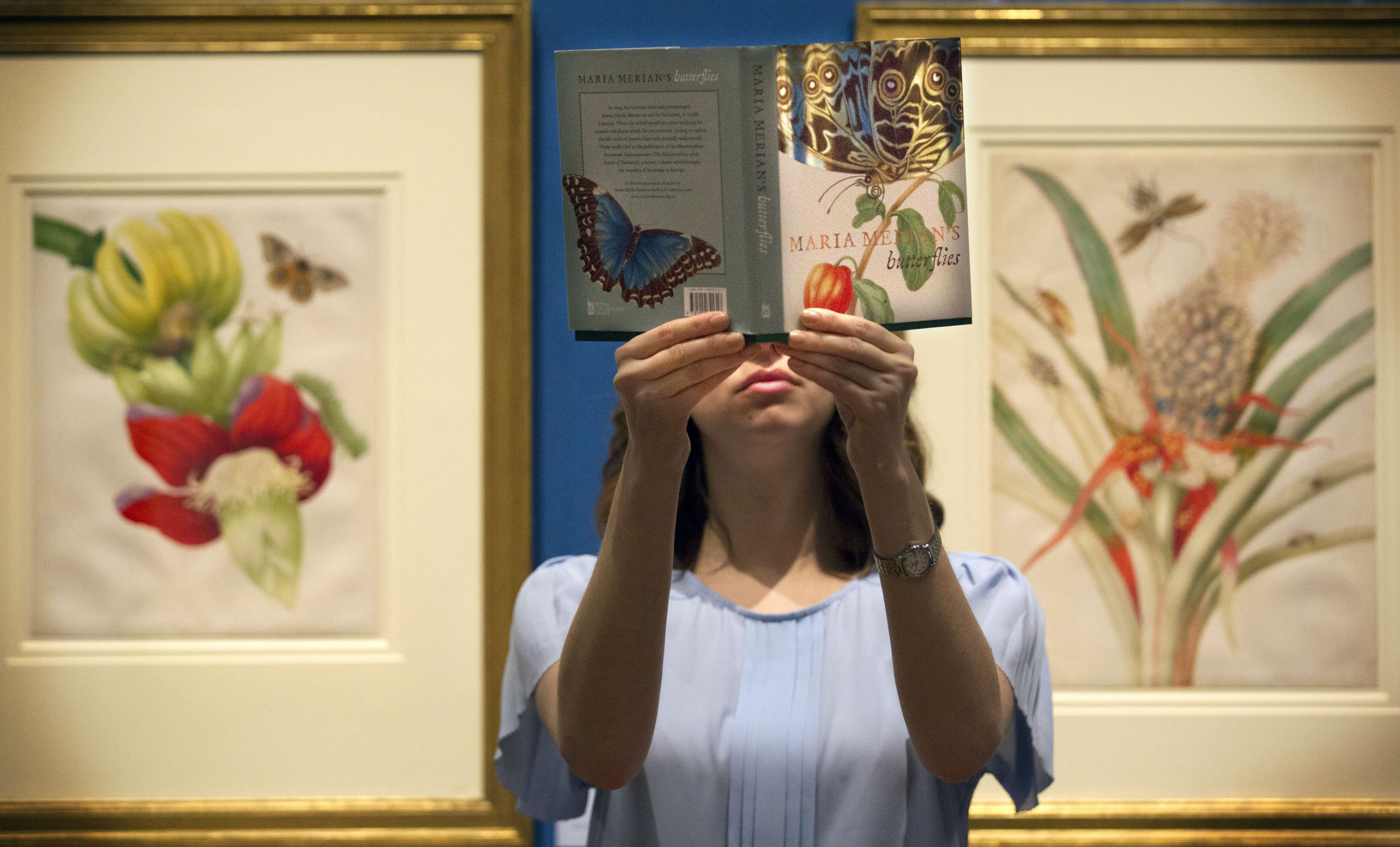 Staff member Katie Buckhalter looking at some of the works displayed at the Queen's Gallery Edinburgh, at the launch of Maria Merian's Butterflies Royal Collection Trust exhibition at the Palace of Holyroodhouse (David Cheskin/Royal Collection/PA Wire)