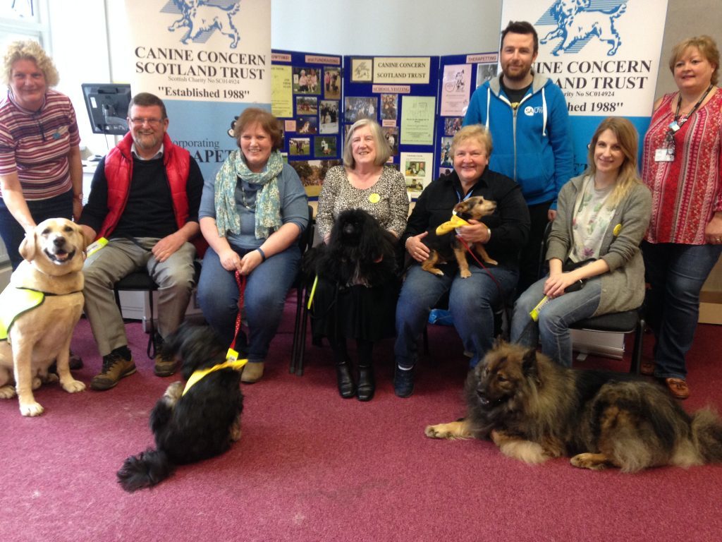 The Therapet dogs (L-R): Nairn the Golden Retriever, Bonnie the Tibetan Terrier, Ben the Pekingese, Cassie the Jack Russell cross and Lupo the Eurasier