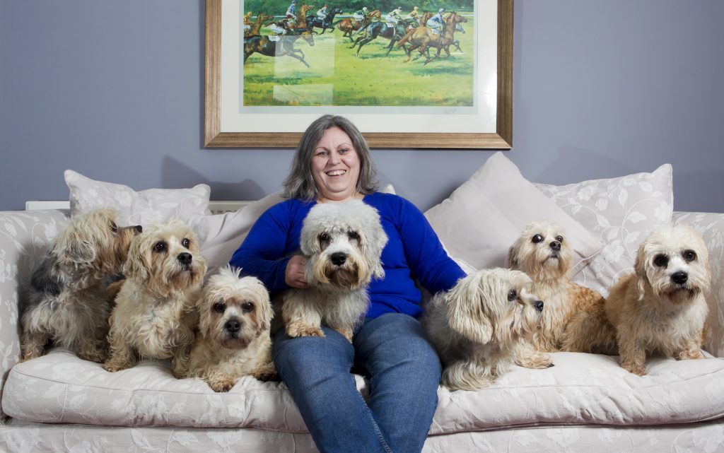 Angie Miller and her Dandie Dinmont Terrier dogs (Andrew Cawley / DC Thomson)