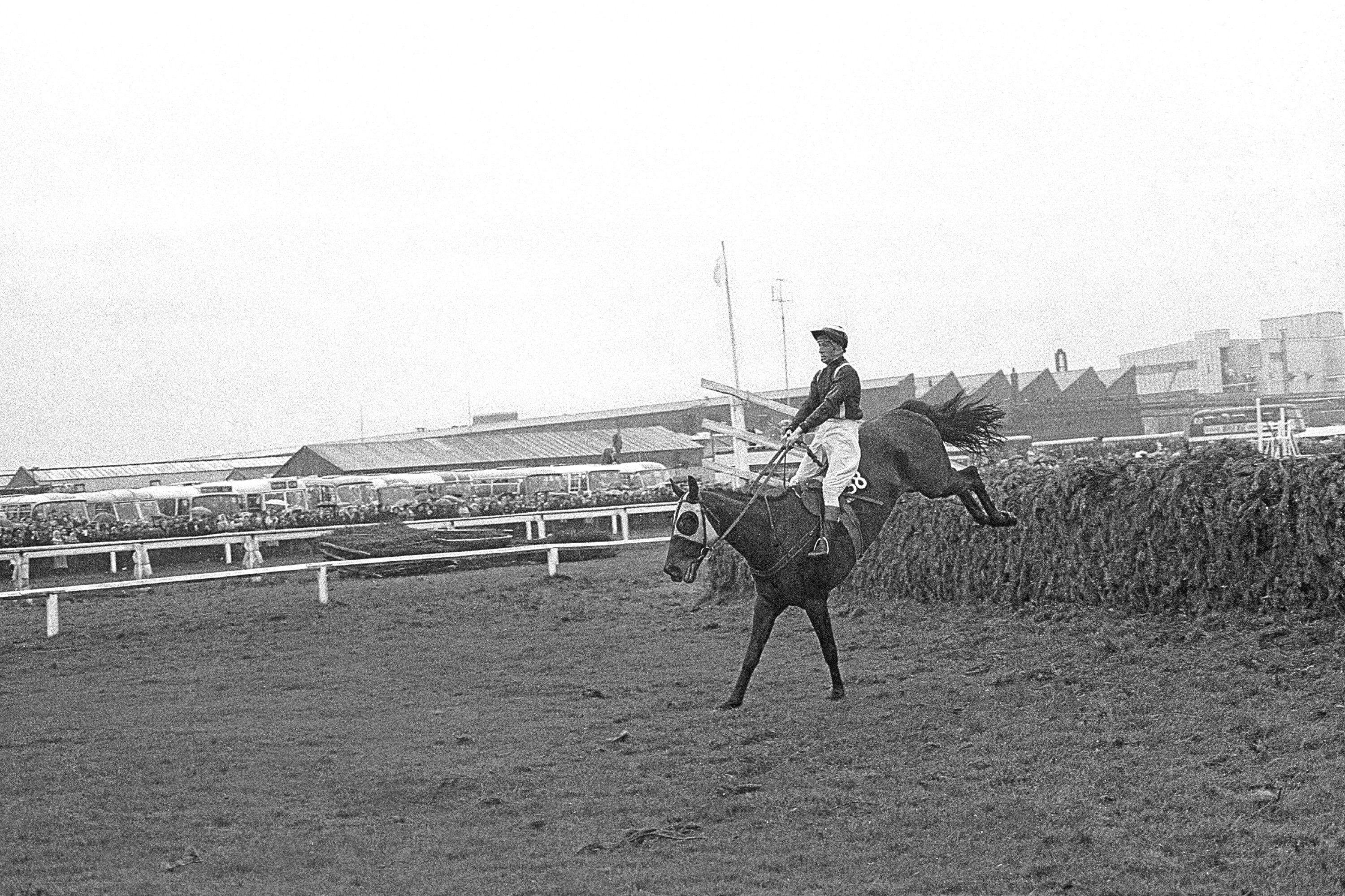Foinavon, ridden by John Buckingham, lands confidently after sailing over the last fence in the Grand National, 1967 (PA Archive/PA Images)