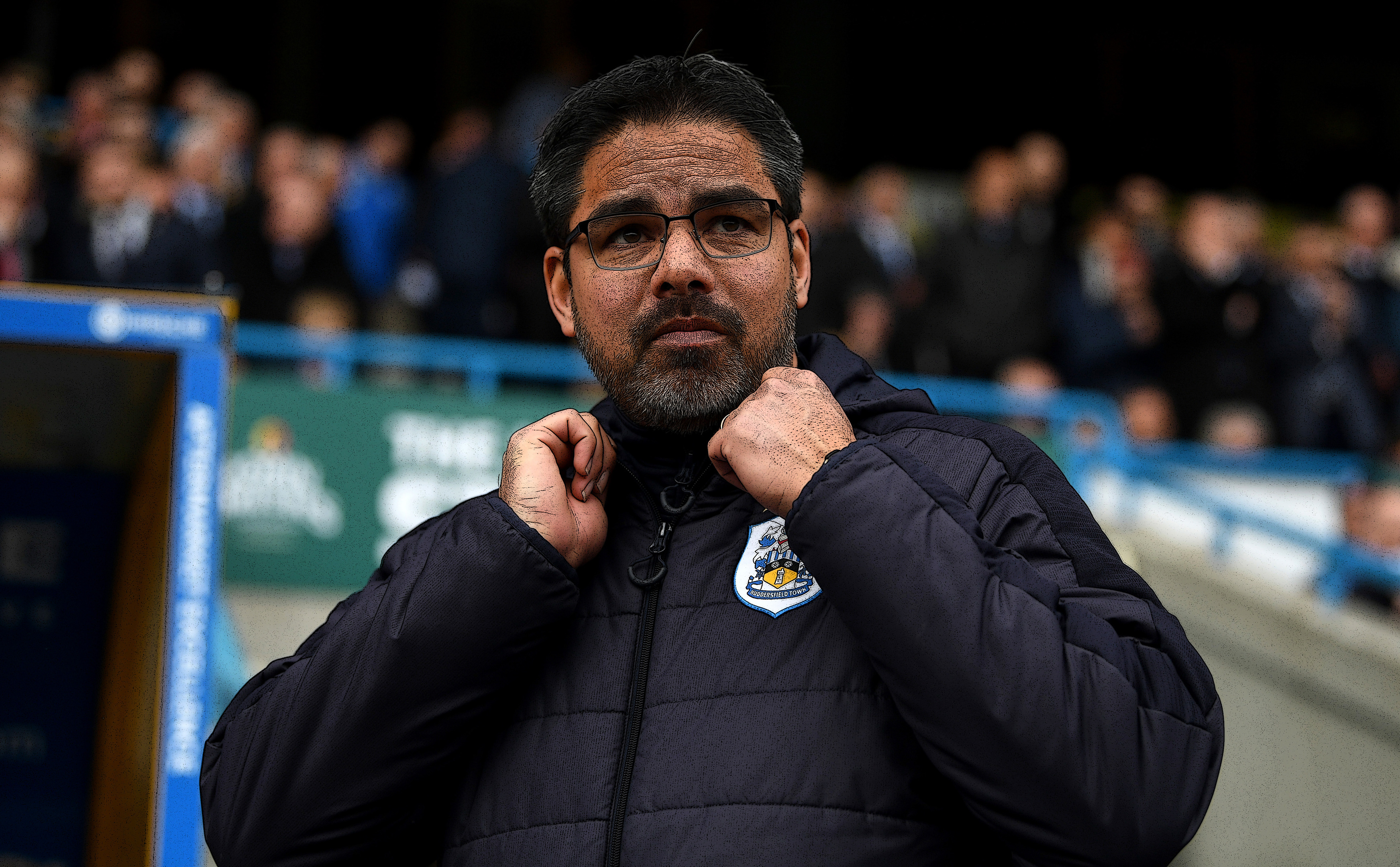 Huddersfield manager David Wagner (Gareth Copley/Getty Images)
