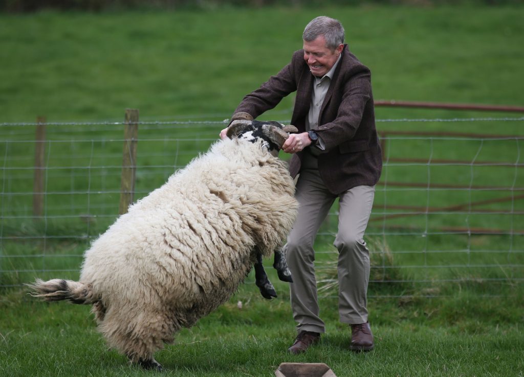 Scottish Liberal Democrat leader Willie Rennie with a ram during a visit to Mill House farm in Kelty, Fife, as he campaigned in the Scottish local elections. (Andrew Milligan/PA Wire)