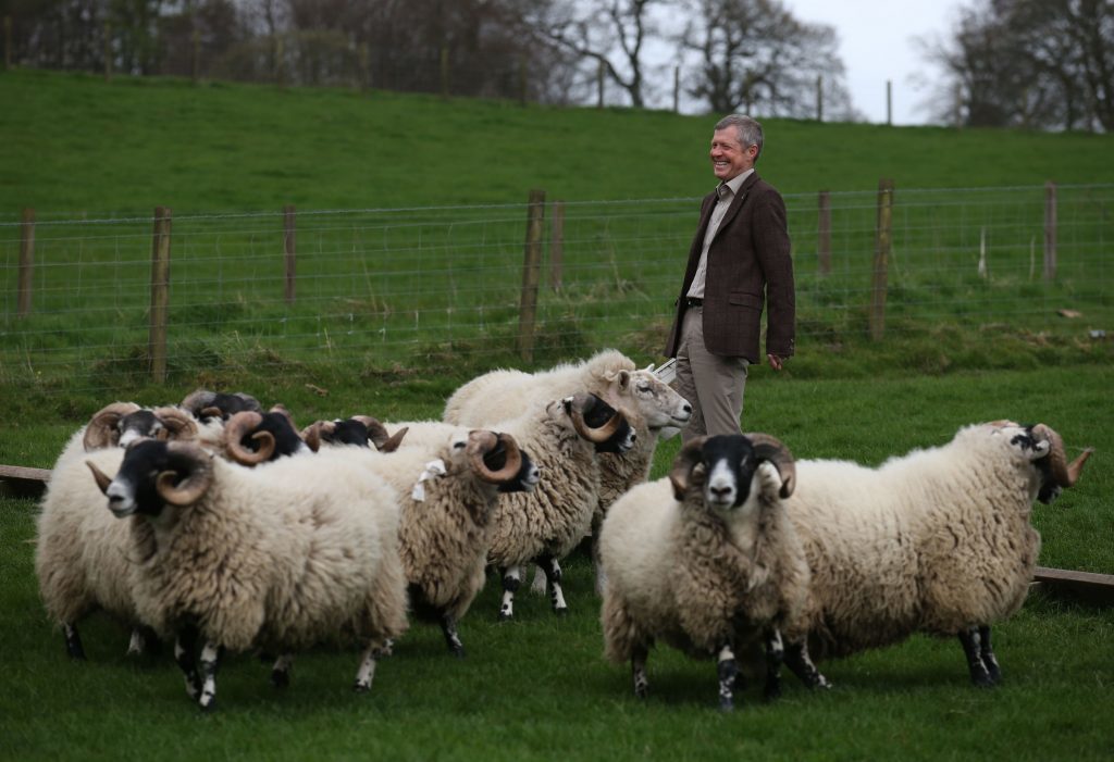 Scottish Liberal Democrat leader Willie Rennie is shown rams during a visit to Mill House farm in Kelty, Fife, as he campaigned in the Scottish local elections. PRESS ASSOCIATION Photo. Picture date: Friday April 21, 2017. Photo credit should read: Andrew Milligan/PA Wire