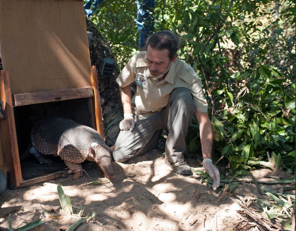 Giant armadillos, being rare, nocturnal and living mostly underground in remote areas, are so hard to find or film that even the documentary's narrator Sir David Attenborough has still not seen them in the wild 60 years on from his first attempt. (BBC/PA Wire)