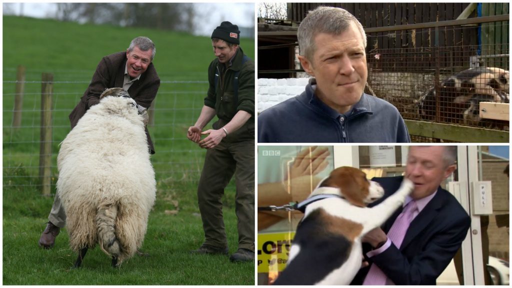 Willie Rennie has had some trouble with animals during election campaigns