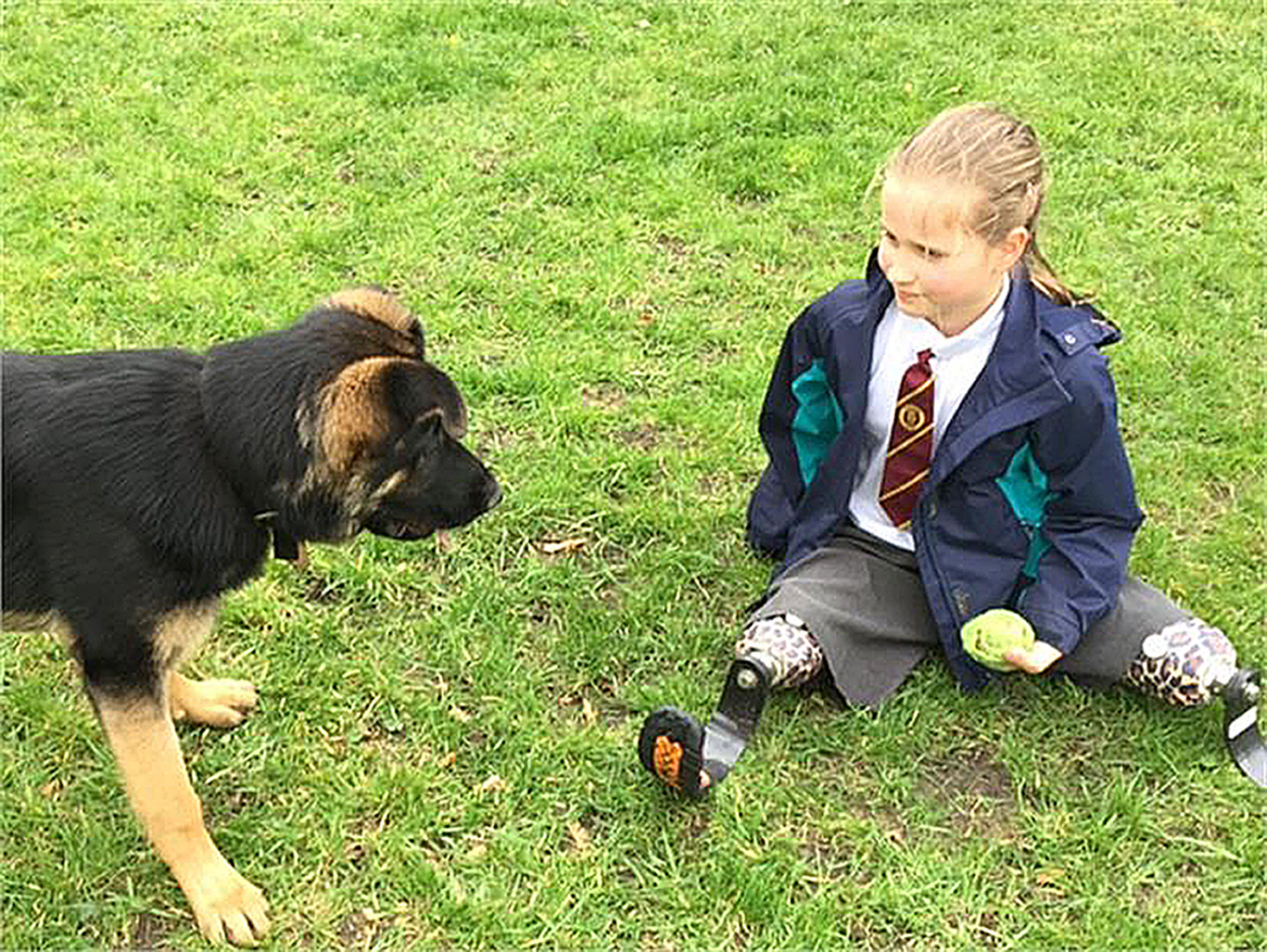 Marina, 8, from Devon, with trainee police dog Tag, who is eight months old. (Devon and Cornwall Police/PA Wire)