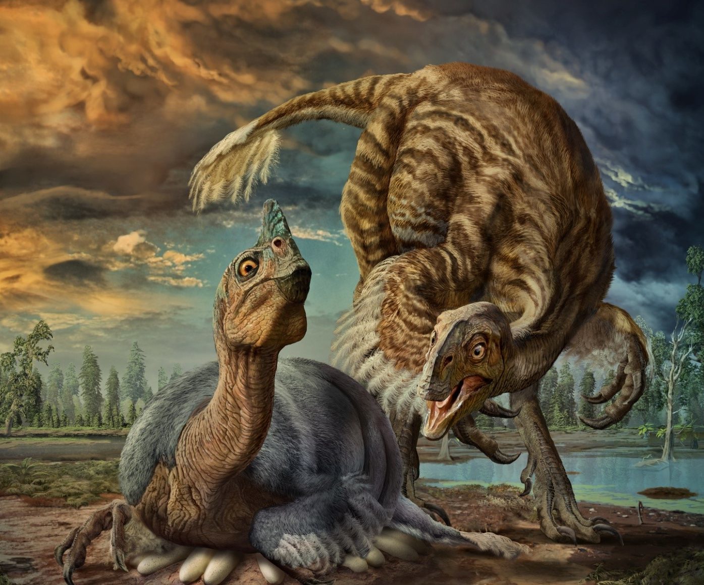 Illustration issued by the University of Calgary of an artist's impression of a nesting Beibeilong sinensis dinosaur incubating its eggs. (Zhao Chuang/PA Wire)