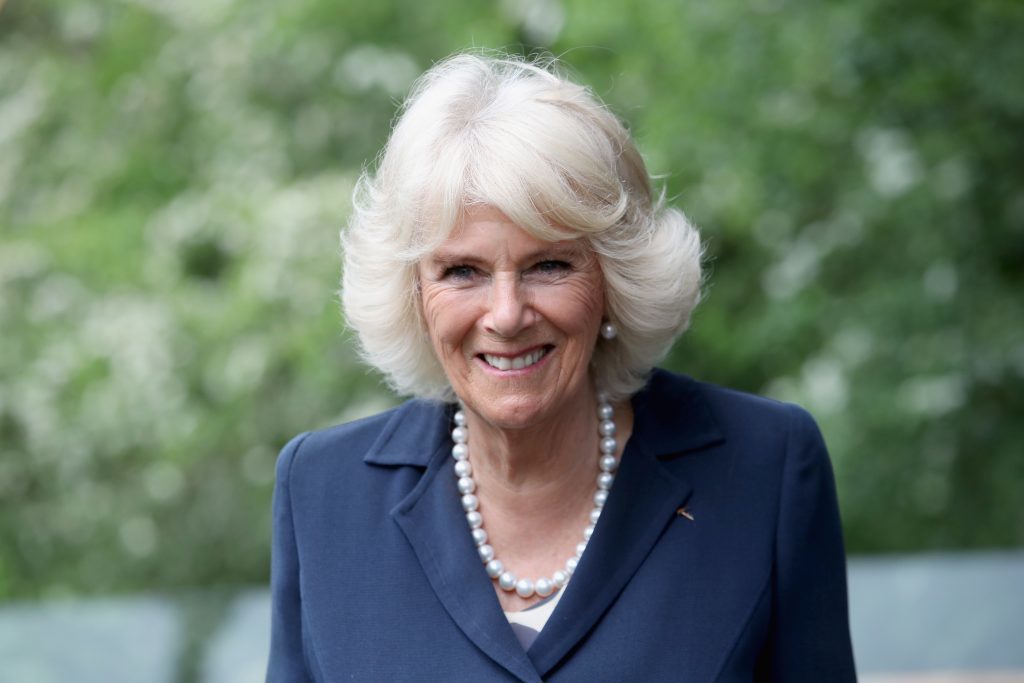 Camilla, Duchess of Cornwall (Chris Jackson/Getty Images)