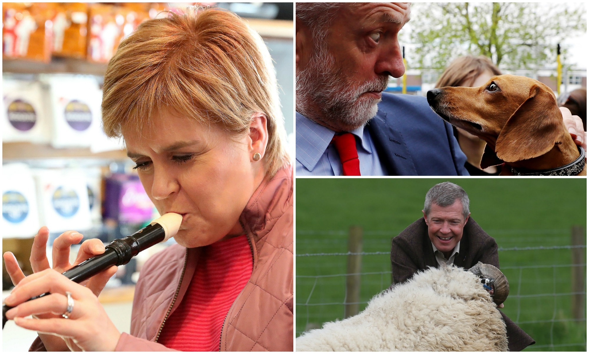 Our politicians  having some fun out on the campaign trail  (PA Images / Getty Images)