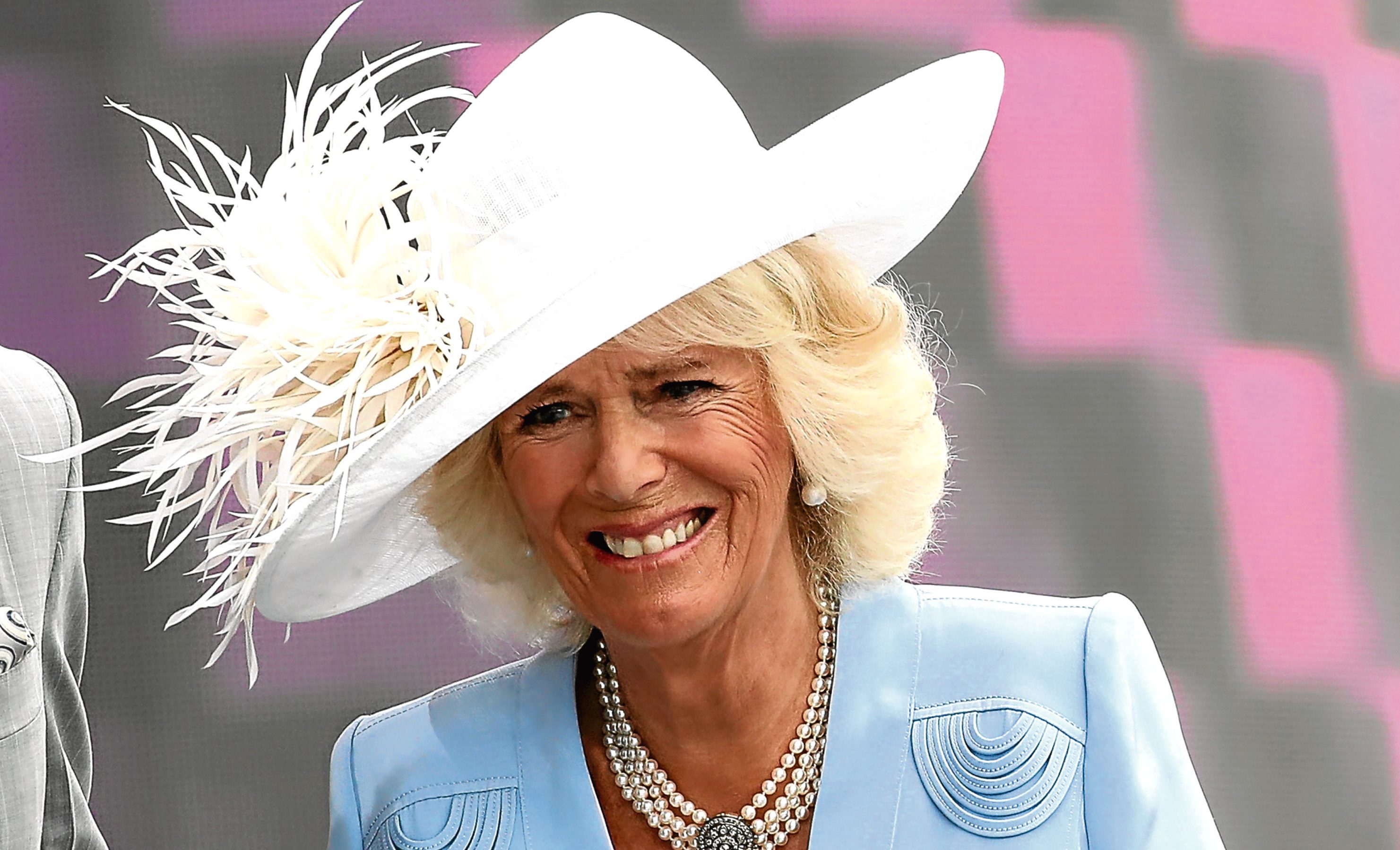 Camilla, Duchess of Cornwall (Chris Jackson/Getty Images)