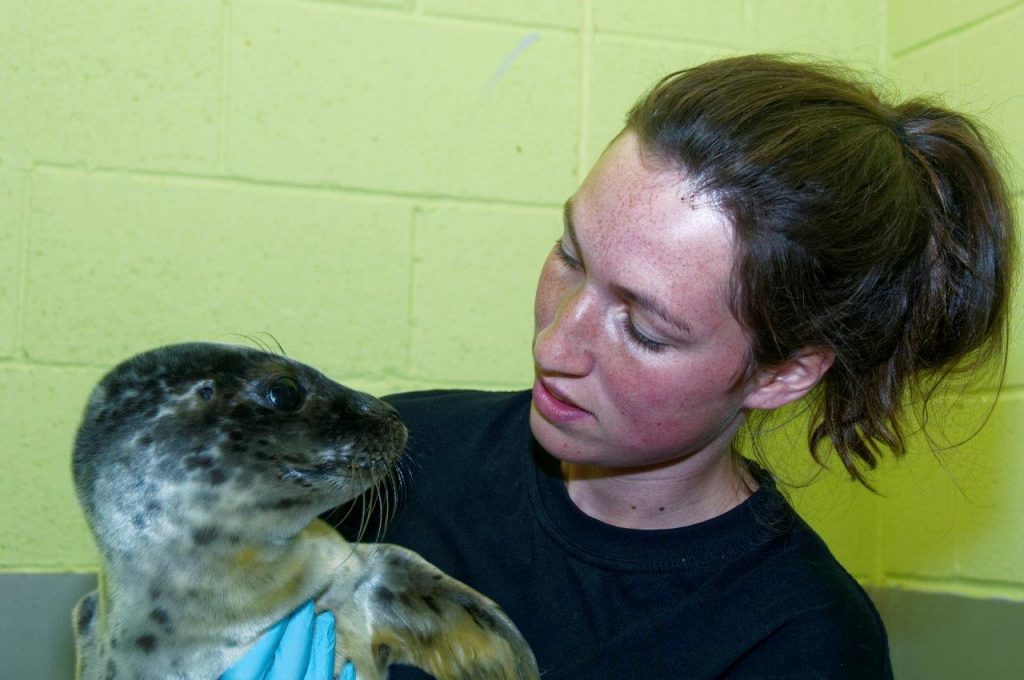 Flounder with wildlife assistant Nikki Andrews (Scottish SPCA)