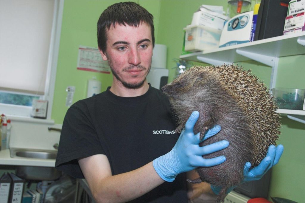 Zepplin the hedgehog with Stuart Loch (Colin Sneddon)