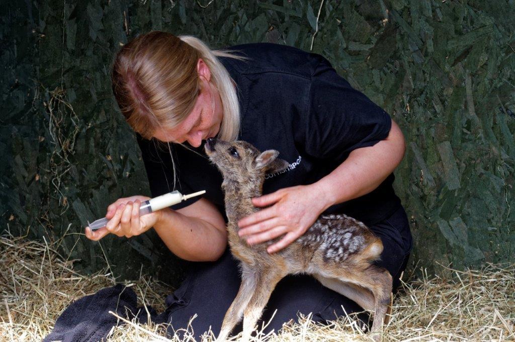 Martini and April Sorley, Wildlife Assistant (Colin Sneddon)