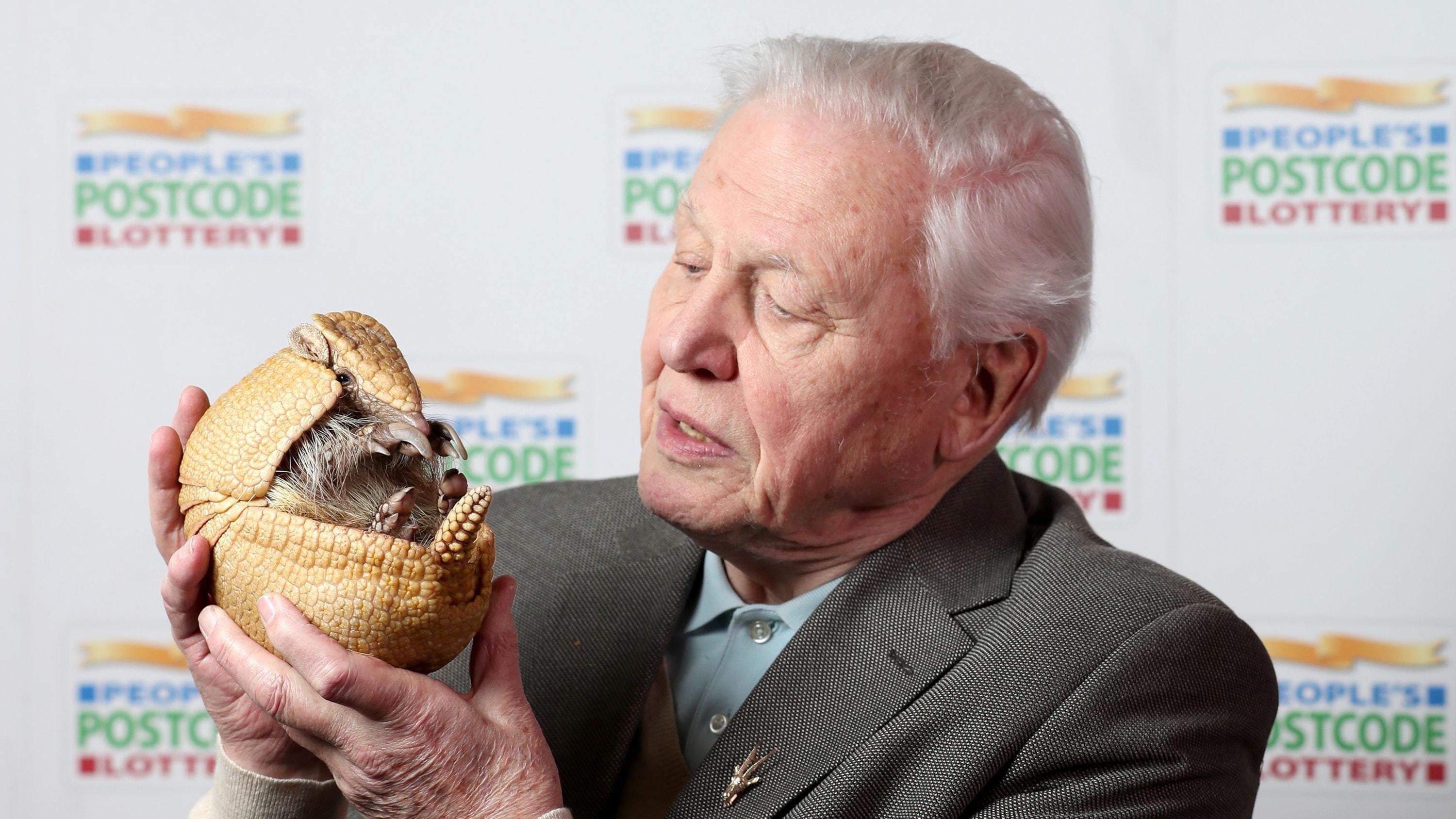 Sir David Attenborough (Jane Barlow/PA)