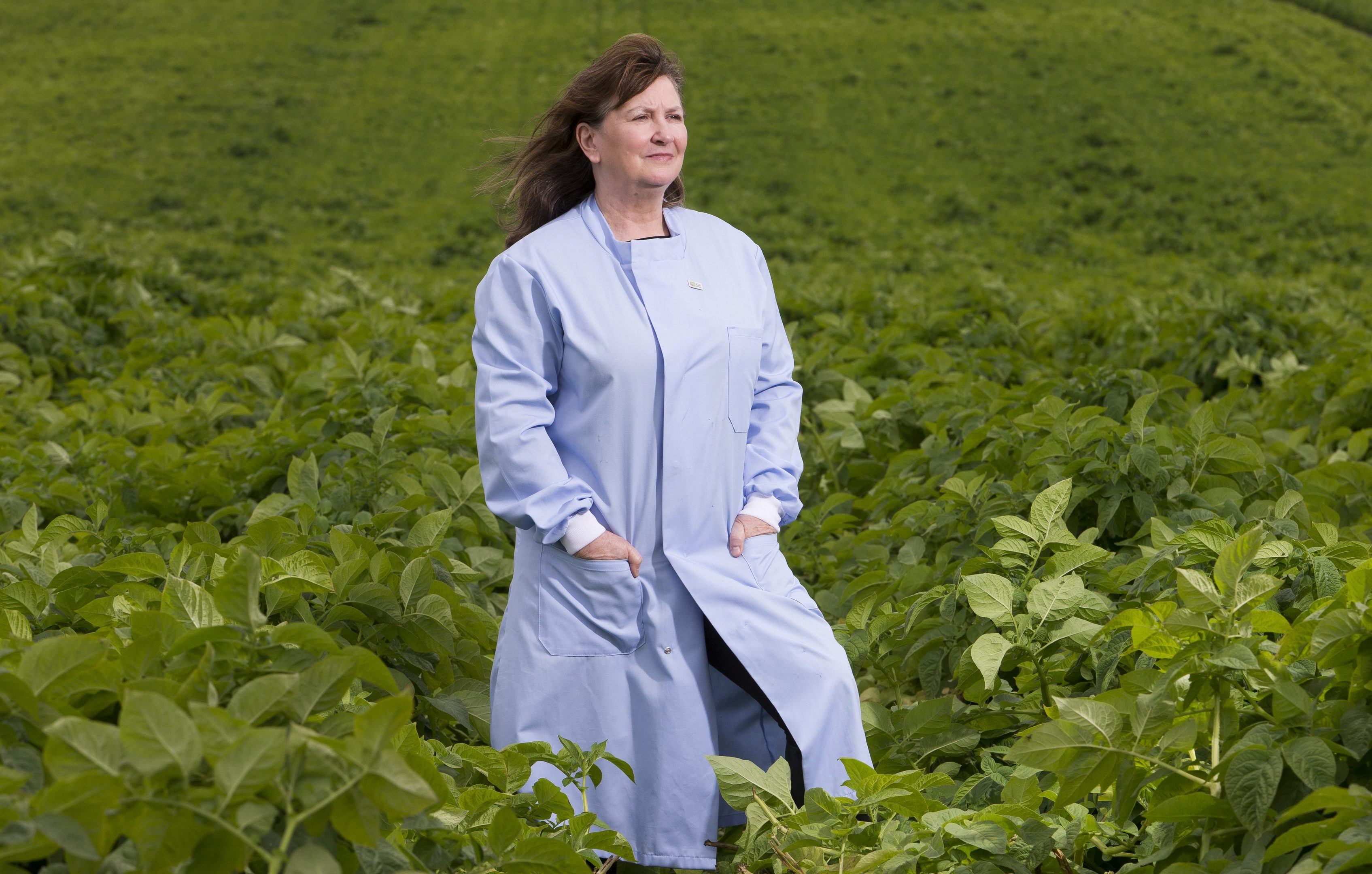 Forensics Officer Lorna Dawson at Knockquarn Farm potato field (Ross Johnston/Newsline Media)