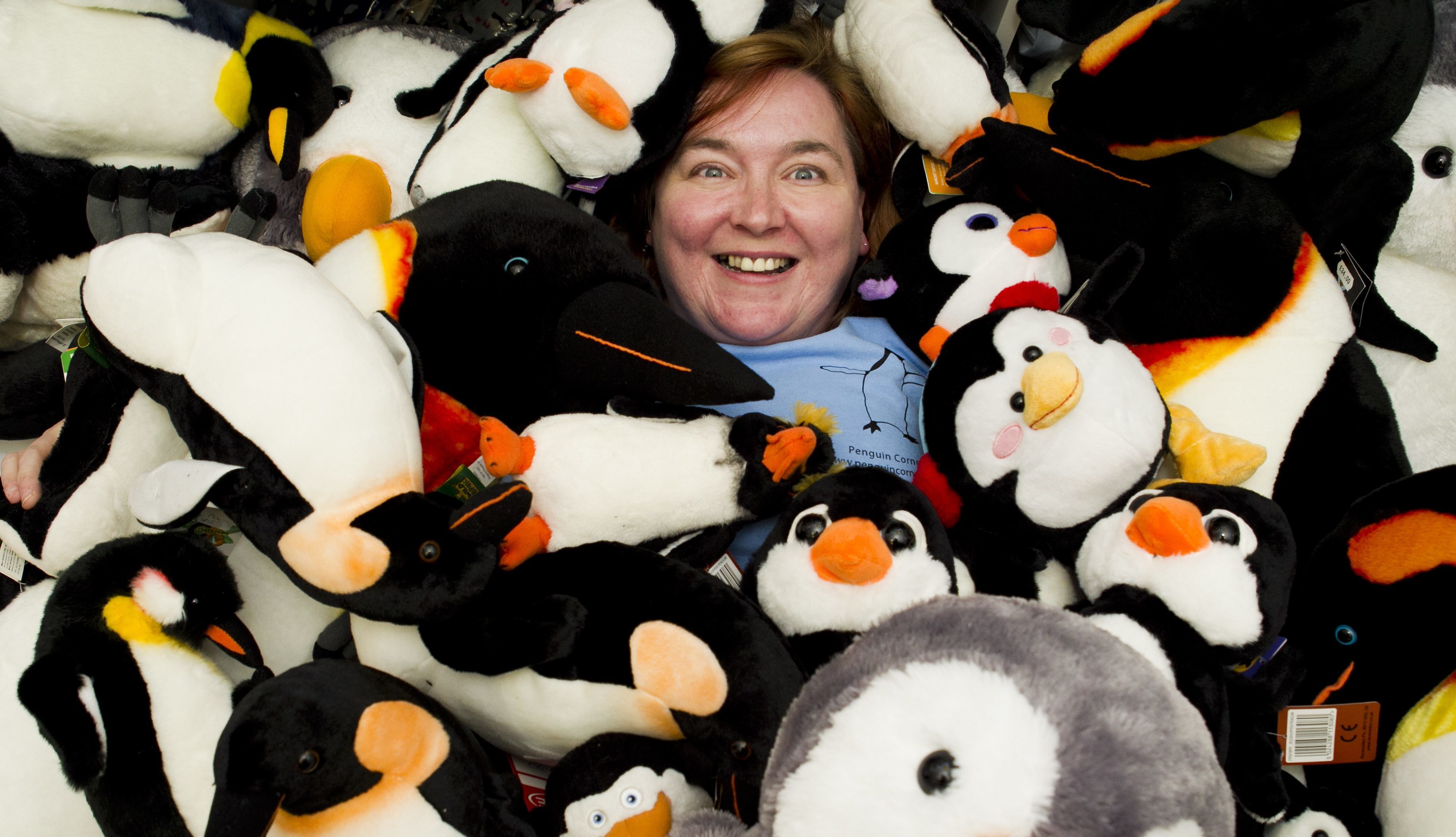 Gillian Sloan sells penguins in her shop (Andrew Cawley / DC Thomson)