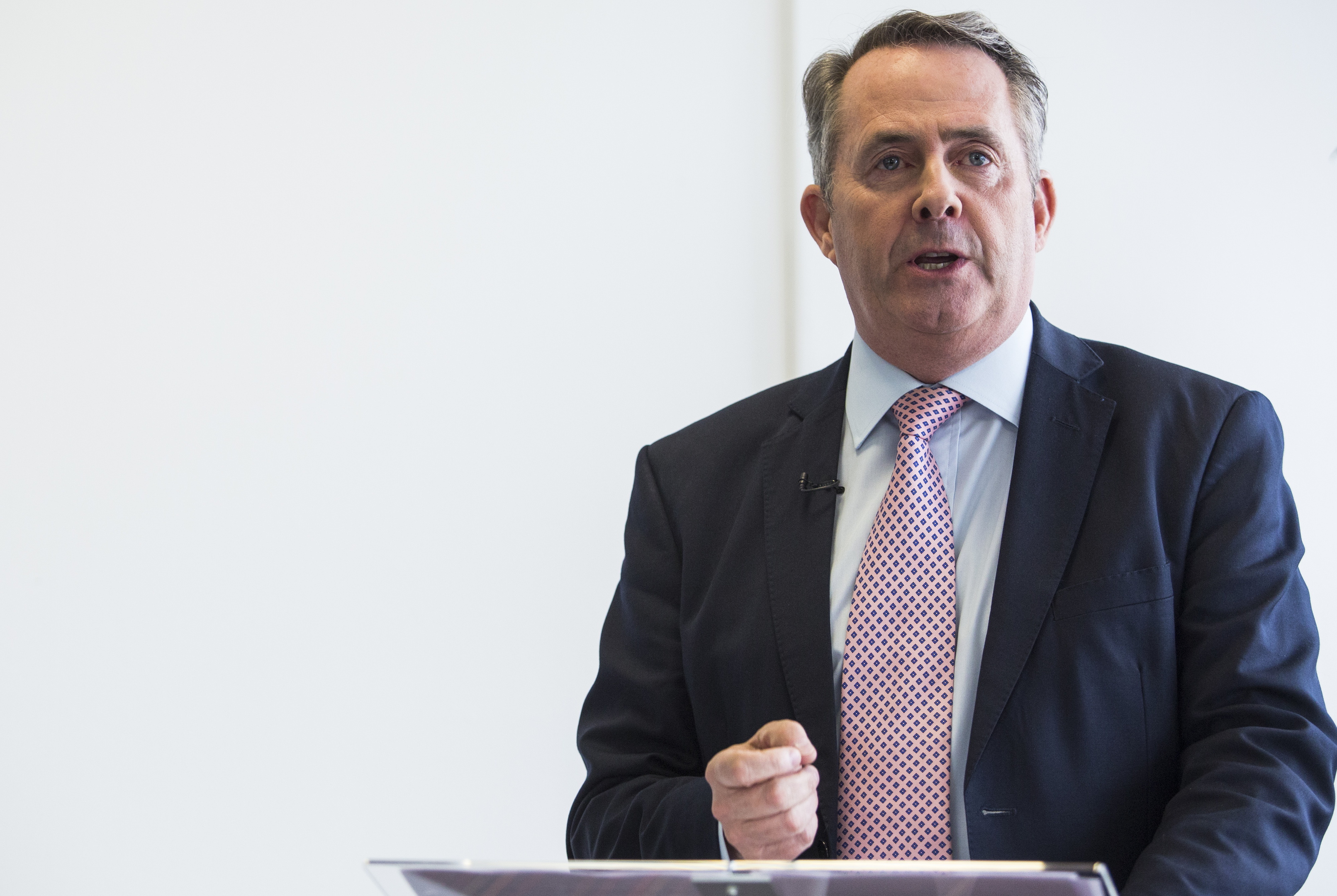 Liam Fox (Jack Taylor/Getty Images)