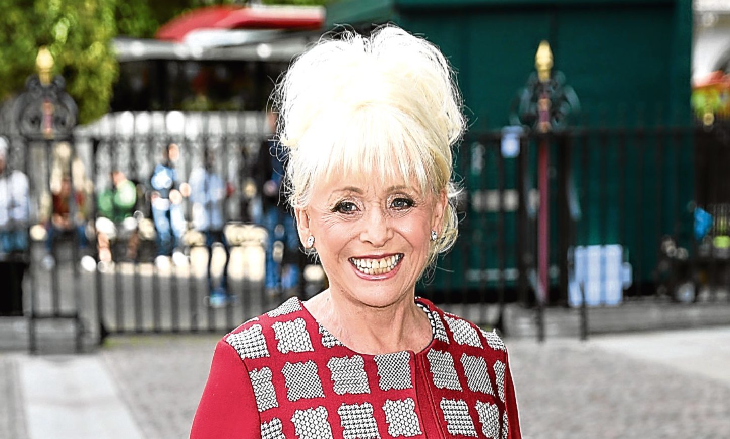 Dame Barbara Windsor (Tim P. Whitby/Getty Images)