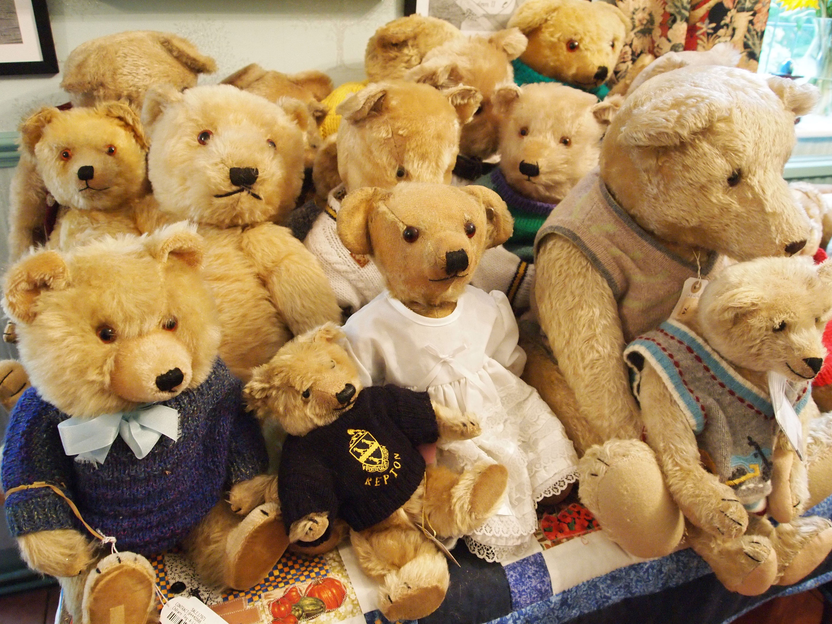 Some of the 35 bears owned by Jill Barker which she has collected over nearly half a century and are going under the hammer. (Hansons Auctioneers/PA Wire)