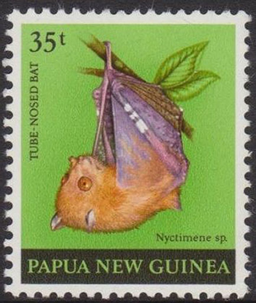 An anonymous tube-nosed bat is depicted on a Papua New Guinea 35t (toea) postage stamp (Julie Himes/PA Wire)