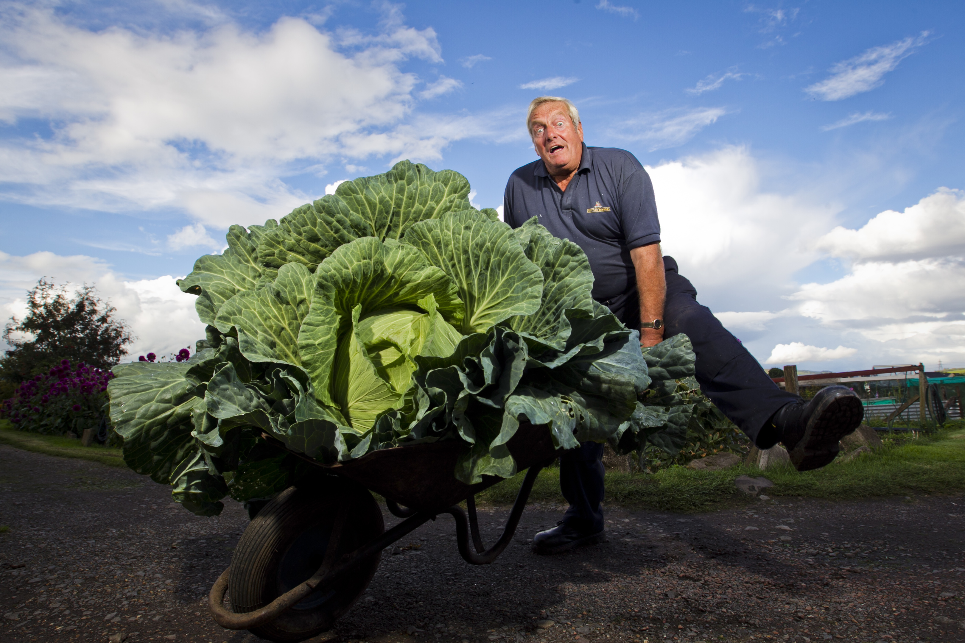 Bryan Calder with his giant cabbage (Andrew Cawley / DC Thomson)