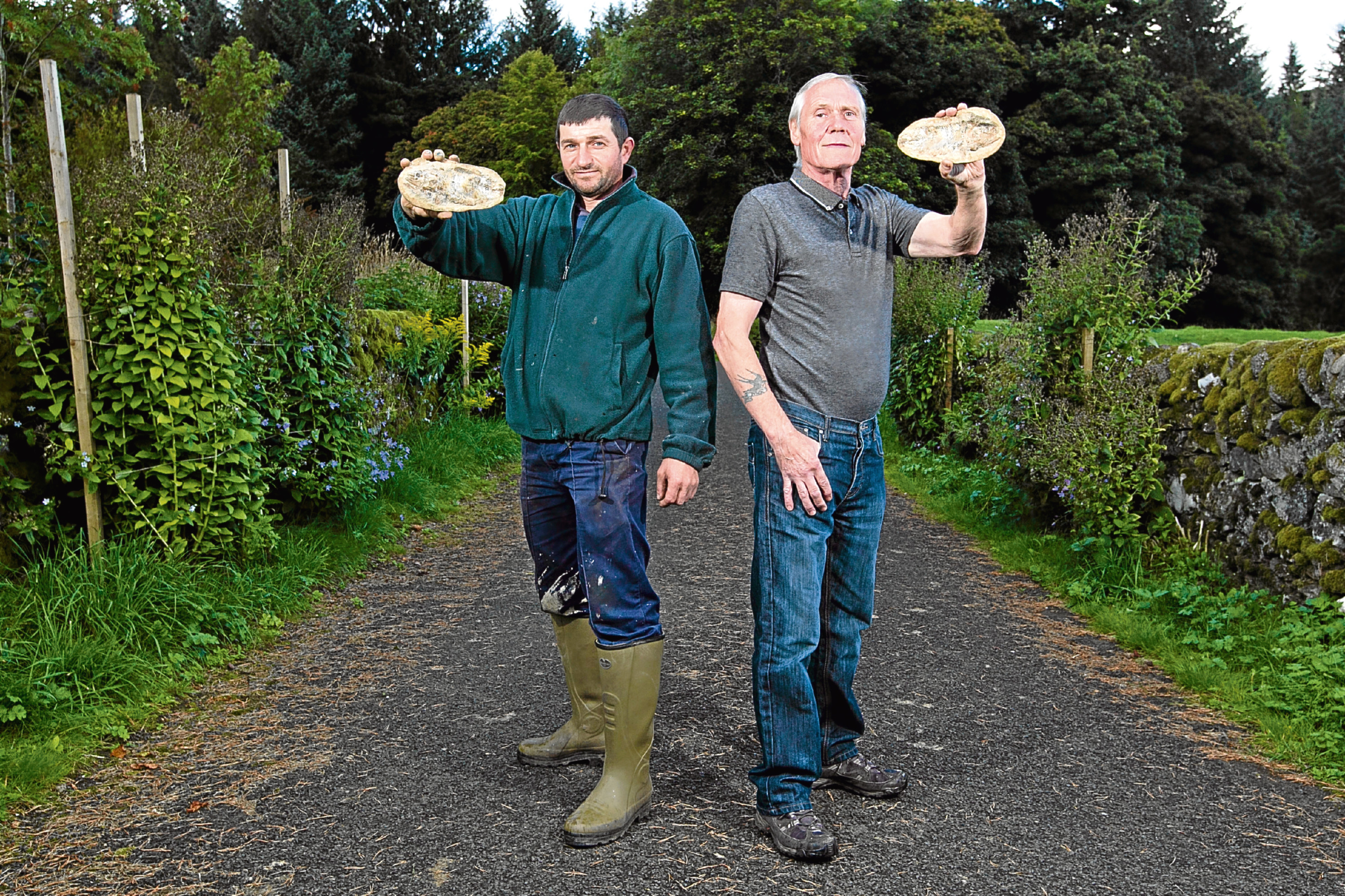 Ionel Obreja and Mick Hardy, who found a fossil of a fish in a garden they were working in (Andrew Cawley / DC Thomson)