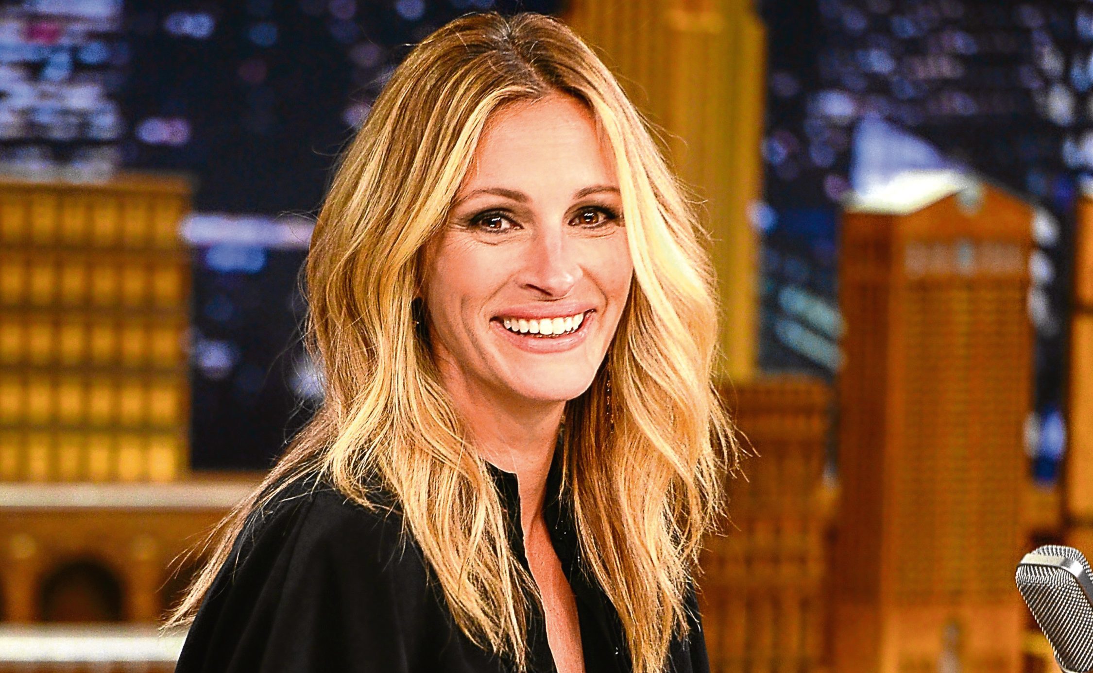 Julia Roberts (Theo Wargo/NBC/Getty Images)