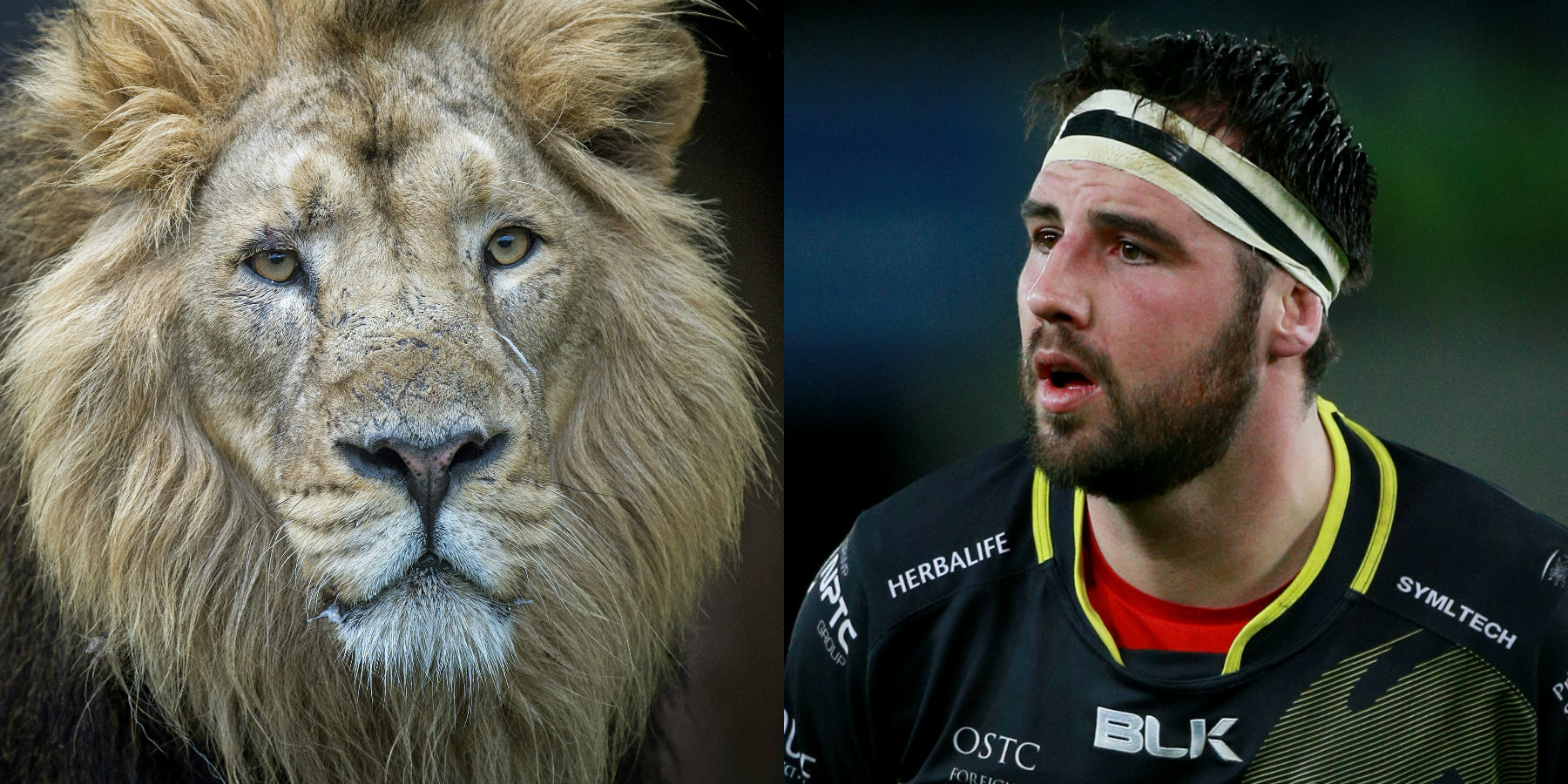 Lion and Scott Baldwin (Victoria Jones/David Davies/PA)