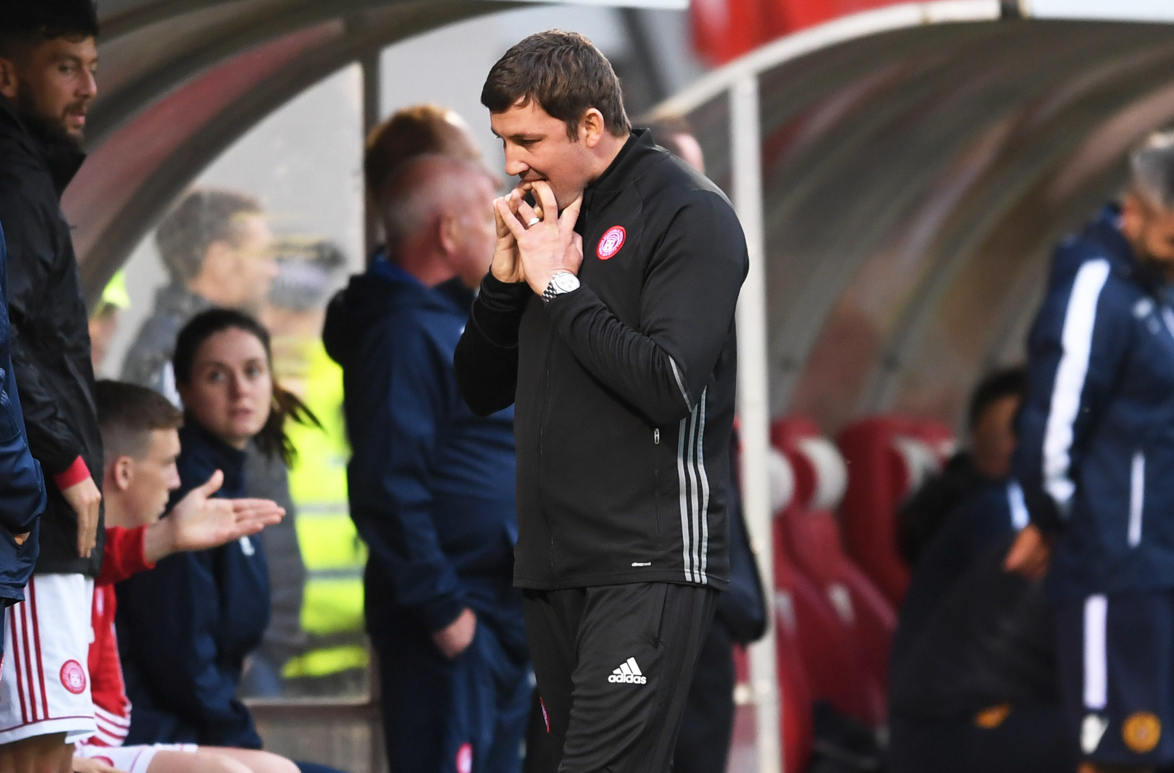 Hamilton manager Martin Canning on the touchline (SNS)